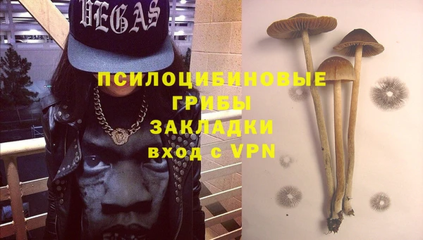 прущий лед Семилуки