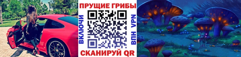 Галлюциногенные грибы прущие грибы  Купить где  Коммунар 